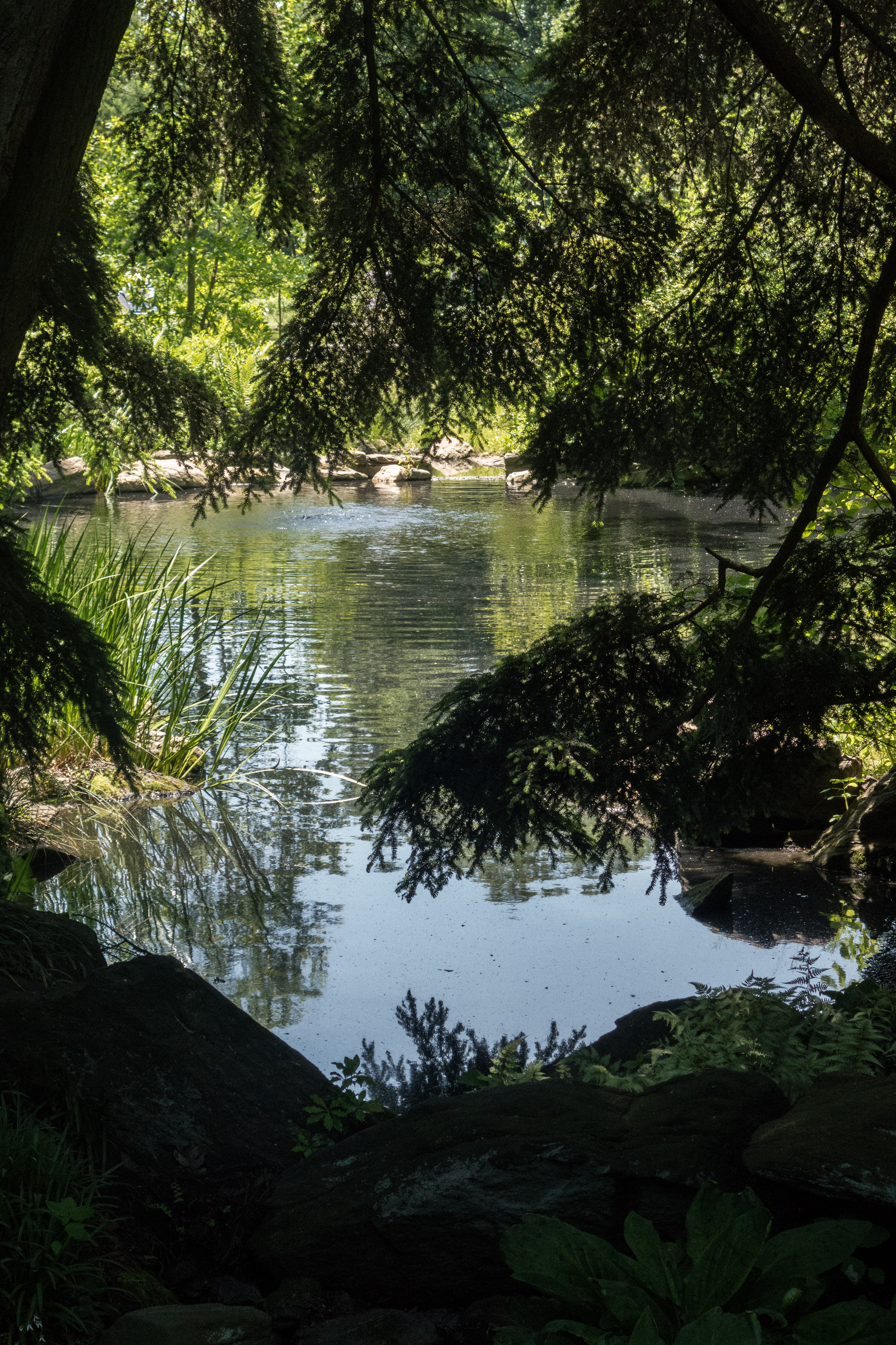 Stand up for Parks! Rally at City Hall Feb. 28