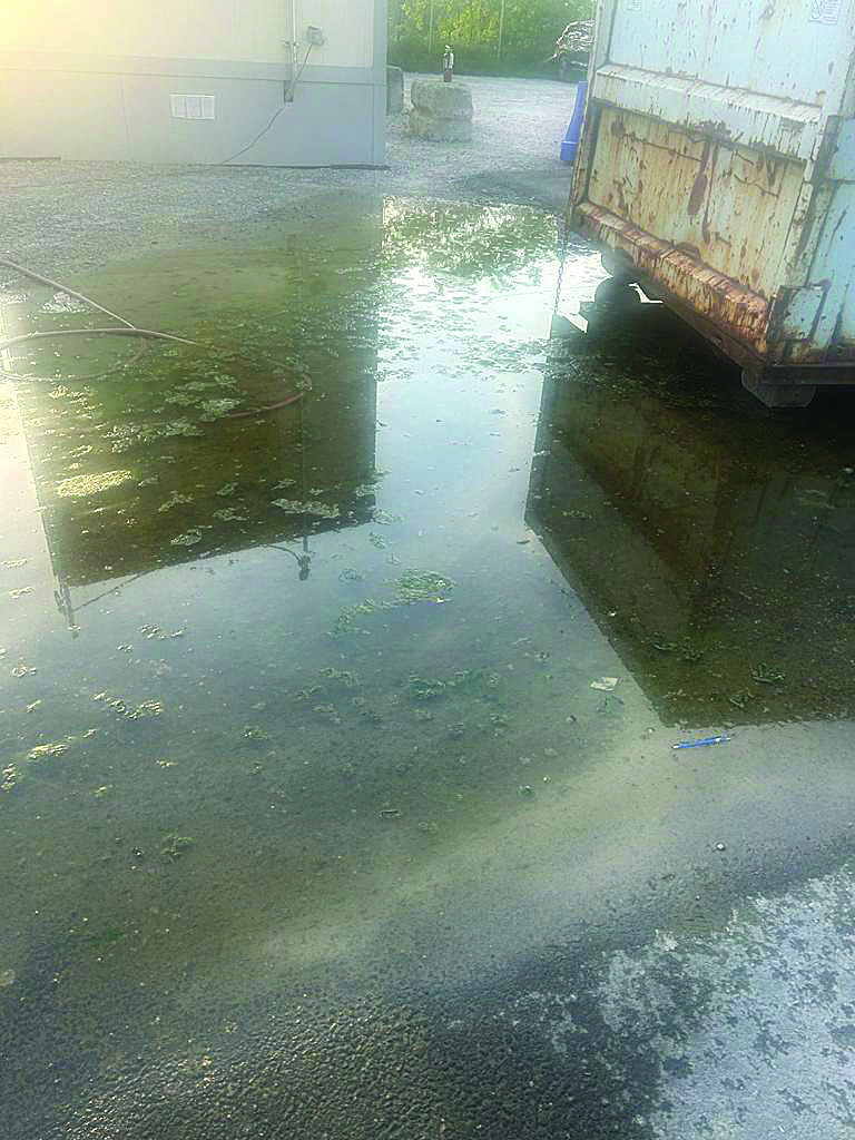 Union Forces City to Clean Up Bronx Tow Pound