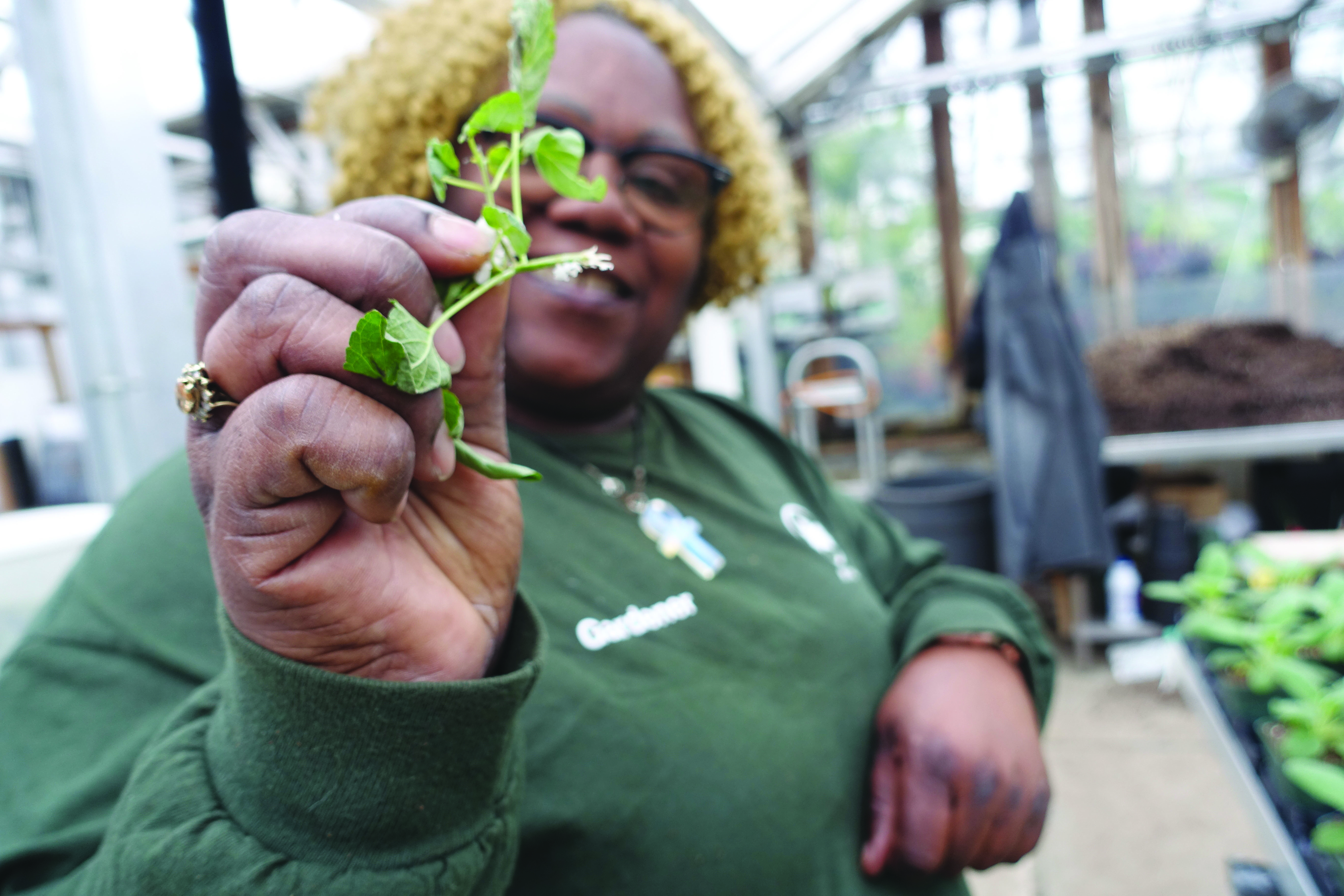 Parks Gardeners, Supervisors Keep Growing in Queens
