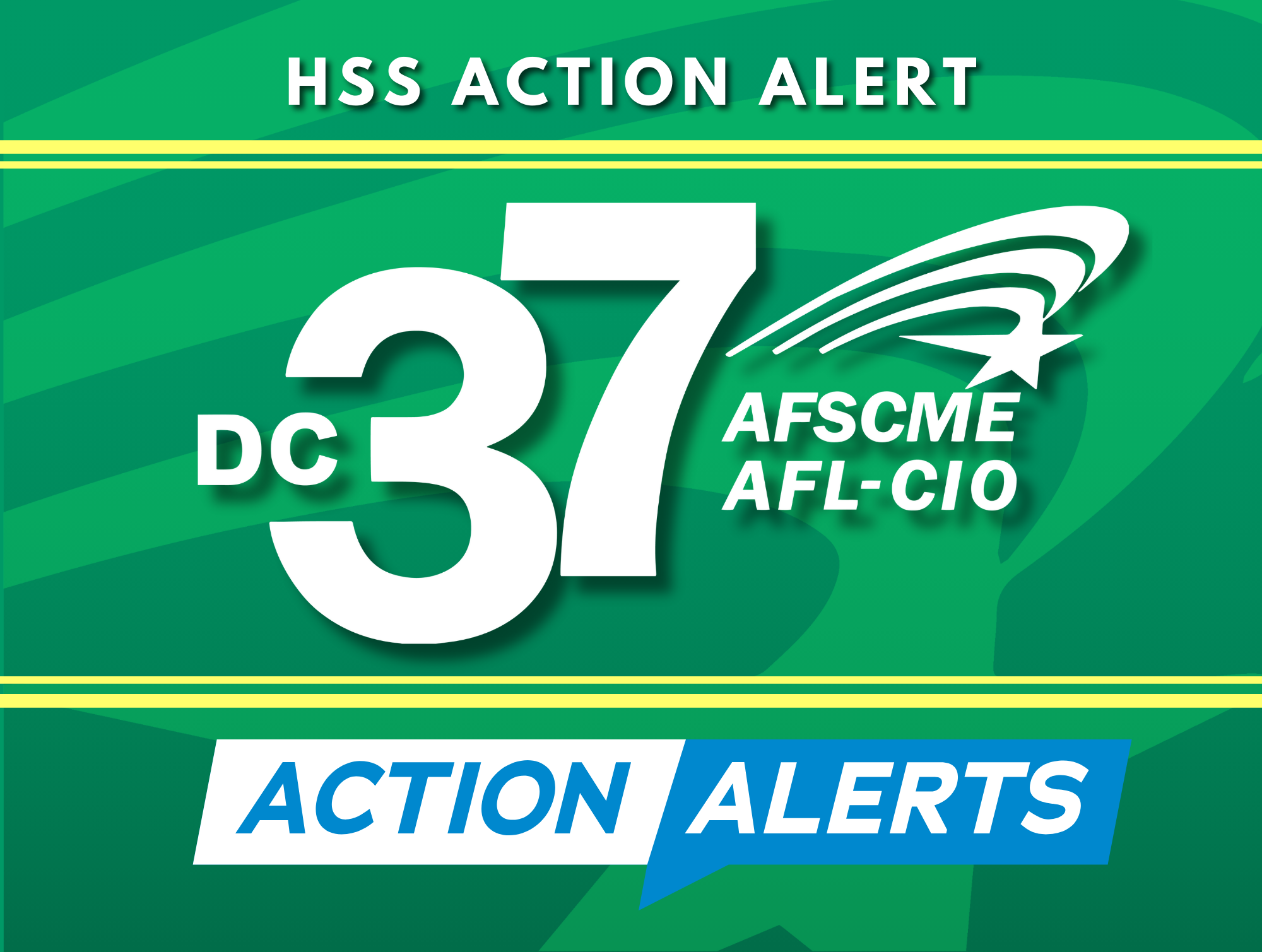 DC 37 HSS Action Alert