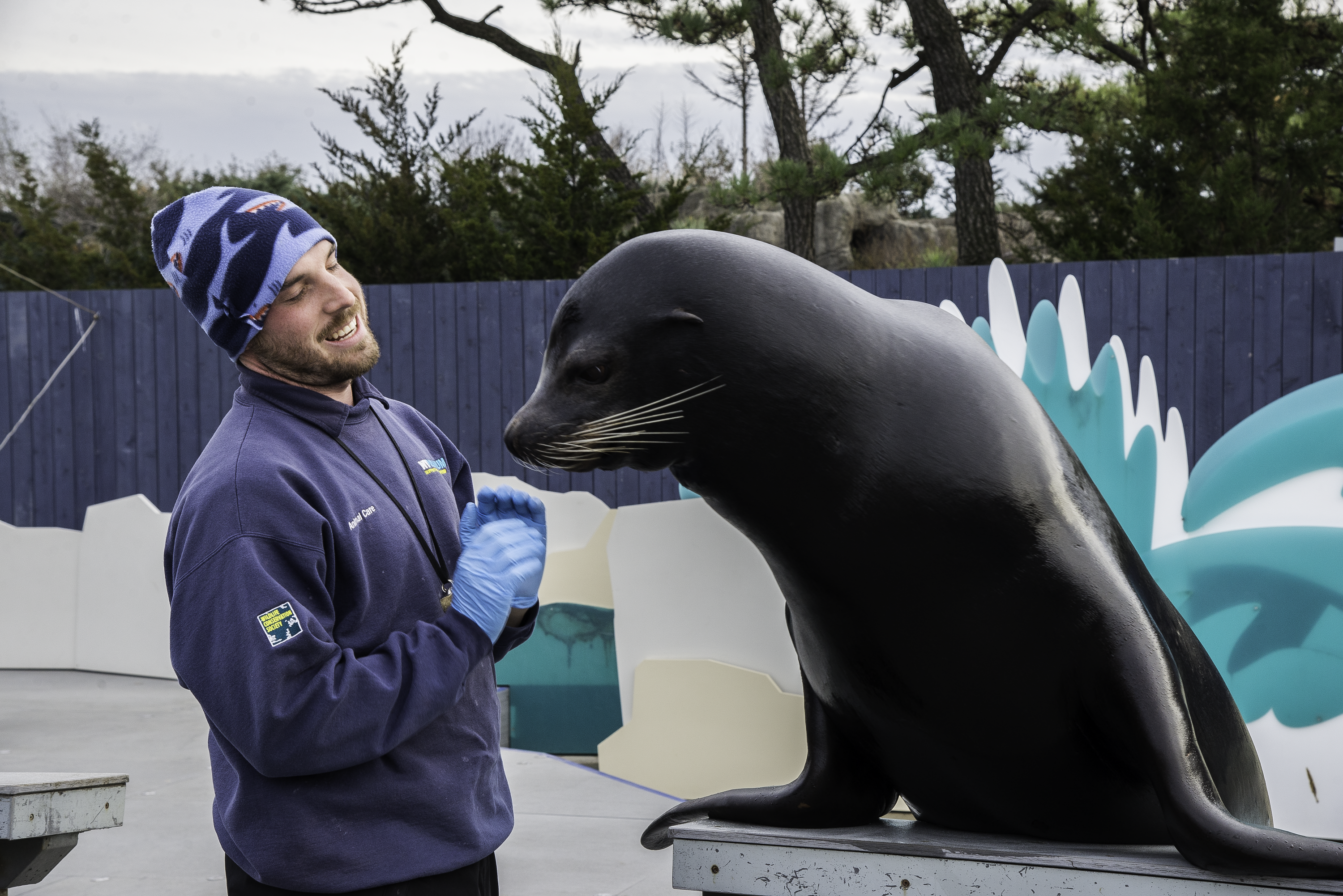 I Have My Dream Job Training Animals in New York City