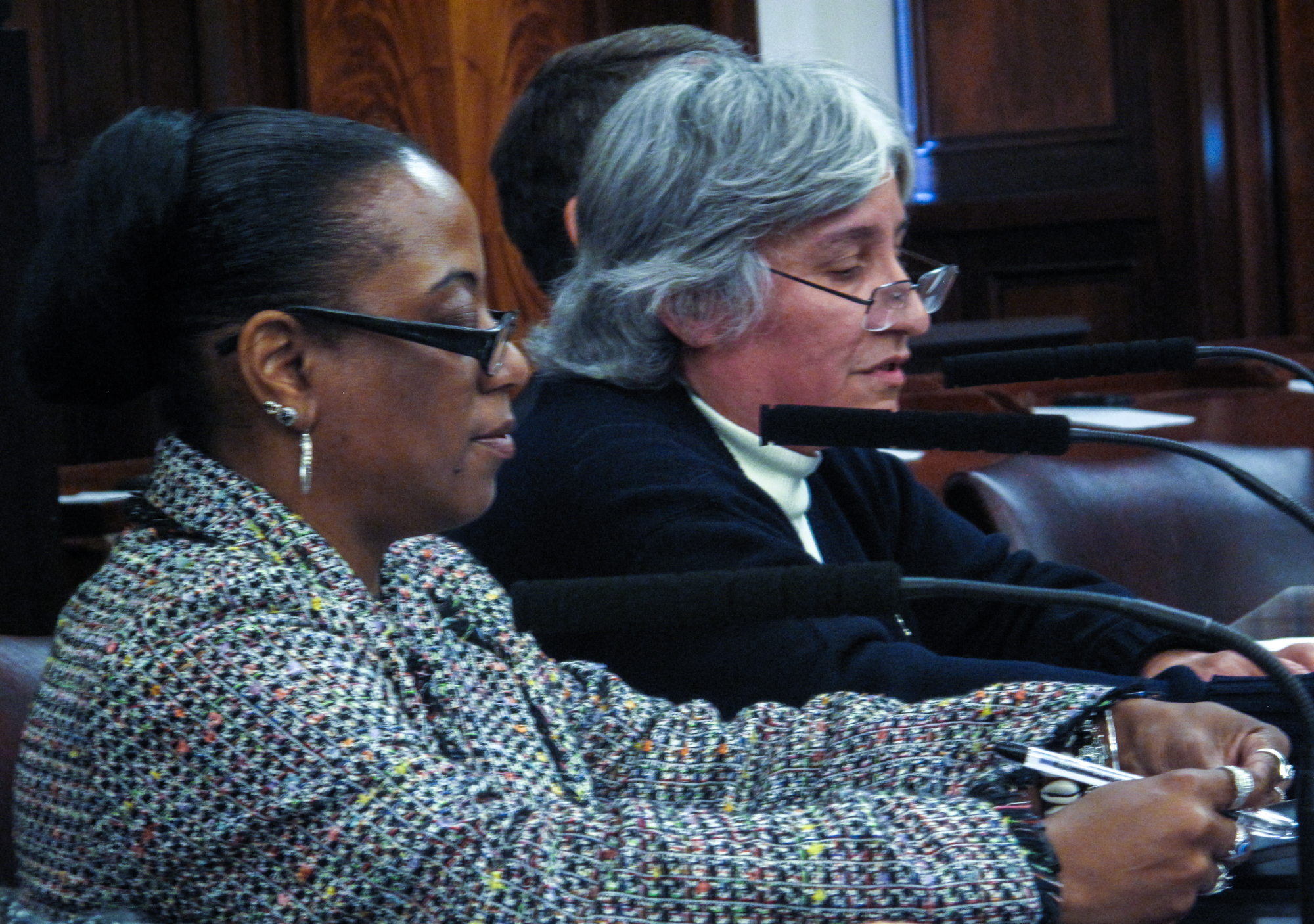DC 37 Pushes Budget Agenda at City Council Hearing