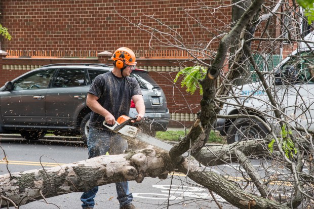 Parks Local 1506 Climber and Pruner Cody Sharp and three coworkers in Brooklyn Forestry are now civil servants with the union’s help.  Photo: Clarence Elie-Rivera