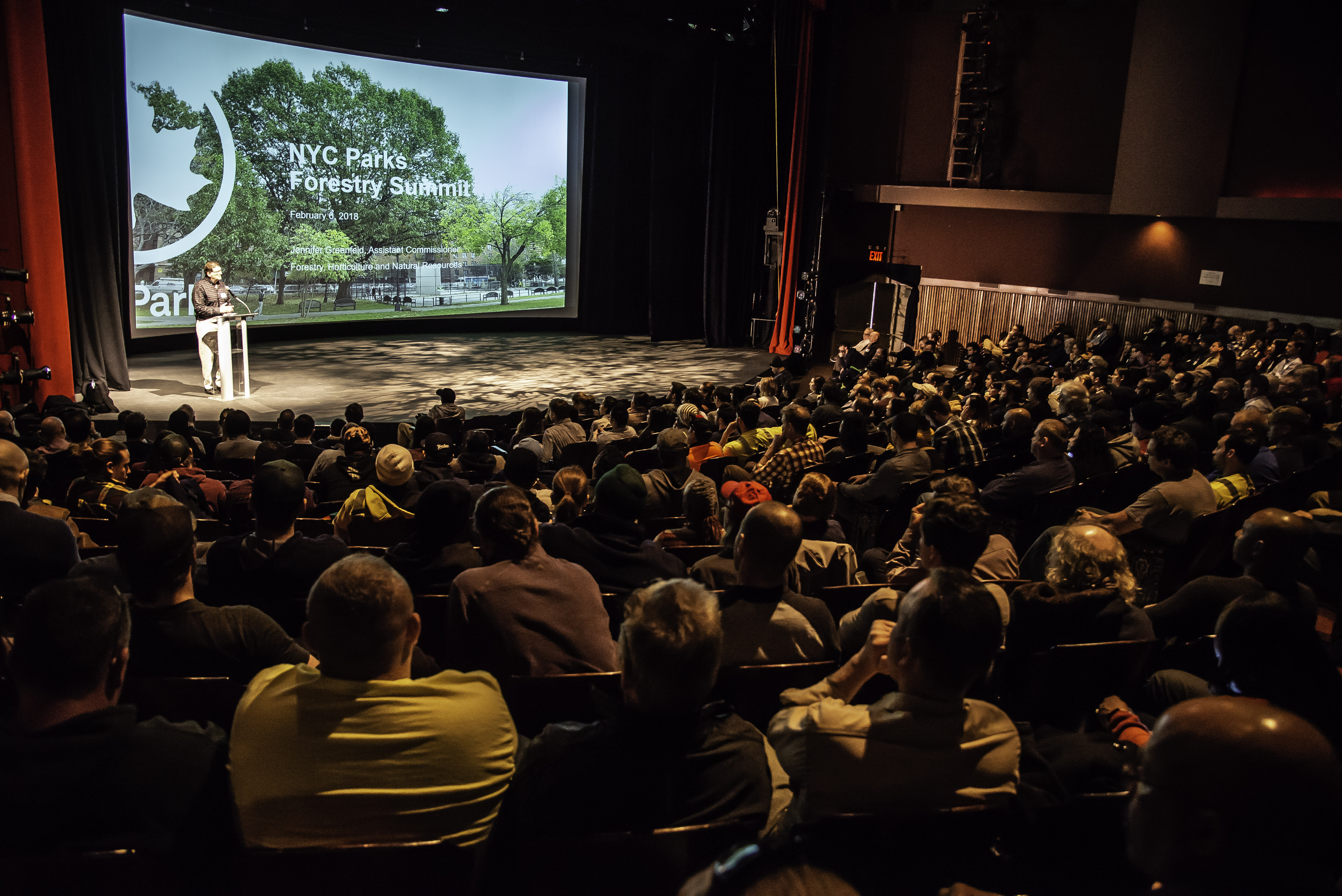 Locals Lead Parks Urban Forestry Summit