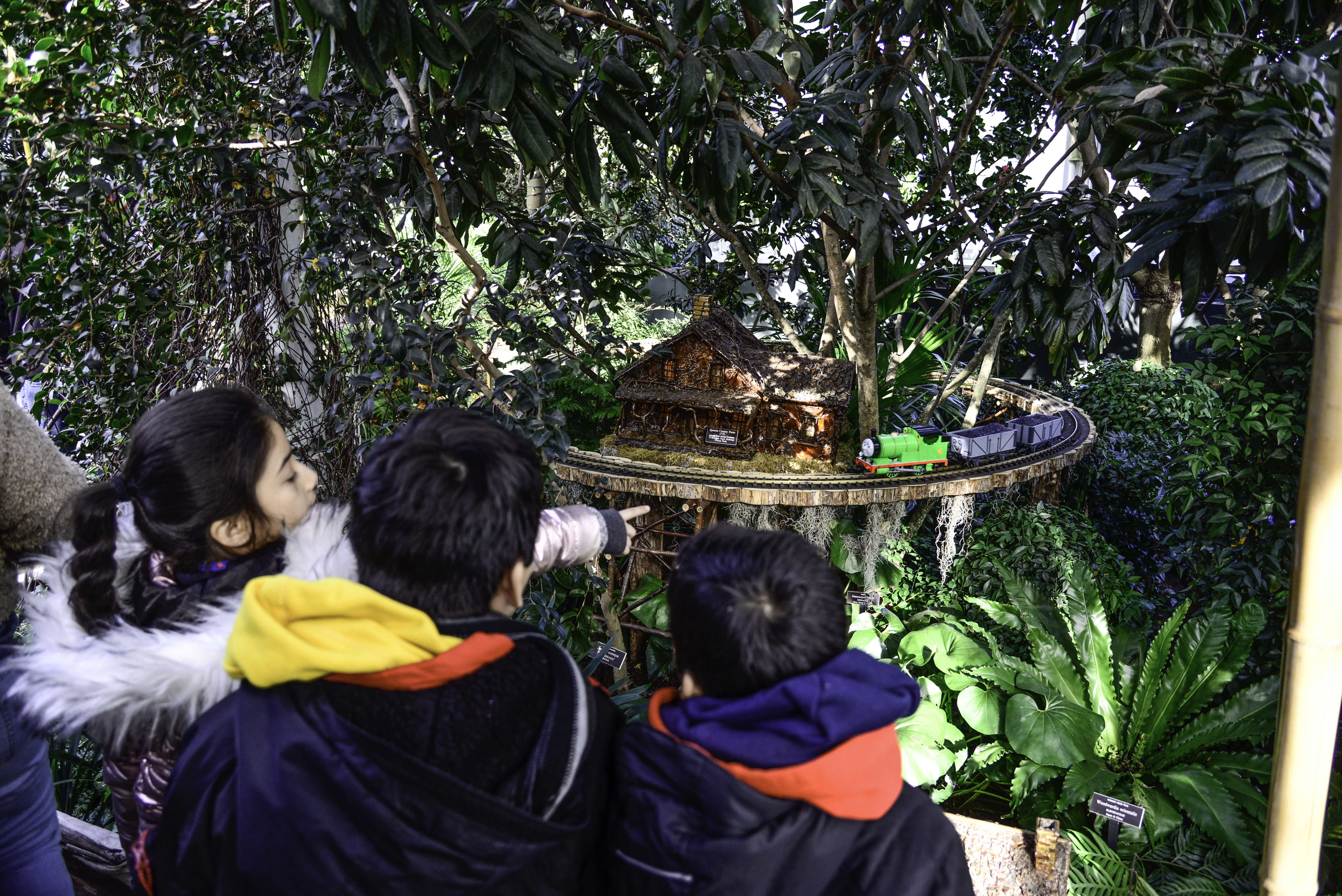 All aboard! Holiday Trains are a favorite at NY Botanical Garden