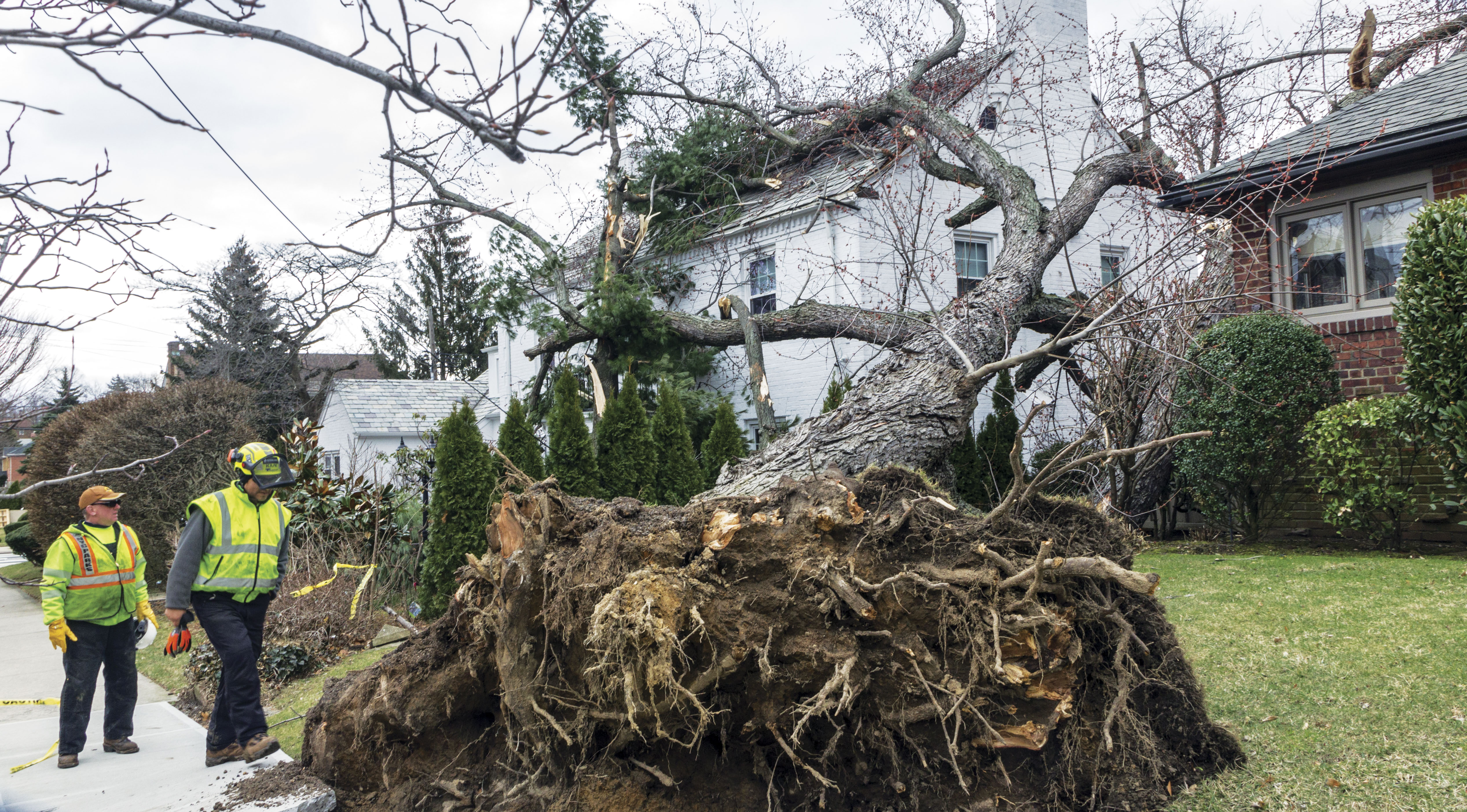 Members Lead Cleanup After Four Nor’easters Hit NYC