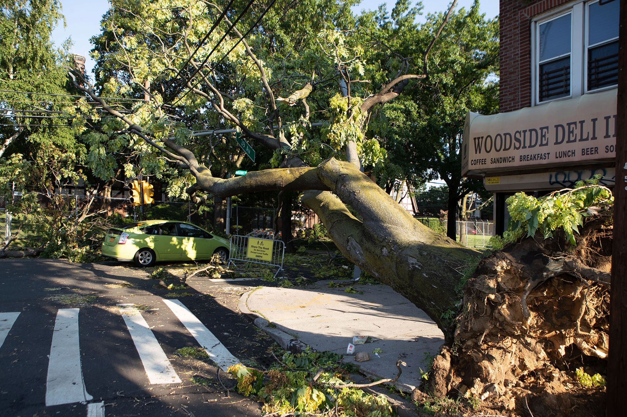 DC 37 Locals Lead Hurricane Cleanup