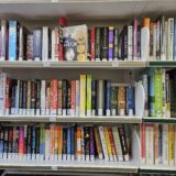 Behind the Wheel: Queens Public Library Guild Local 1321 Brings the Library to You